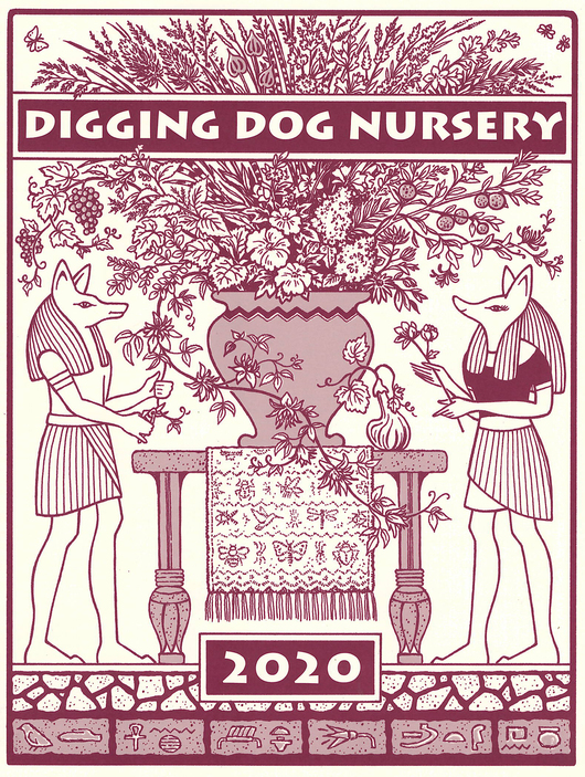 2020 Catalog Cover Digging Dog Nursery
