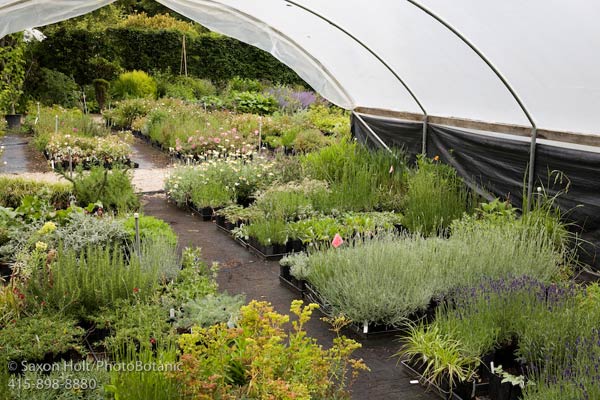 Digging Dog Plant Nursery Greenhouse