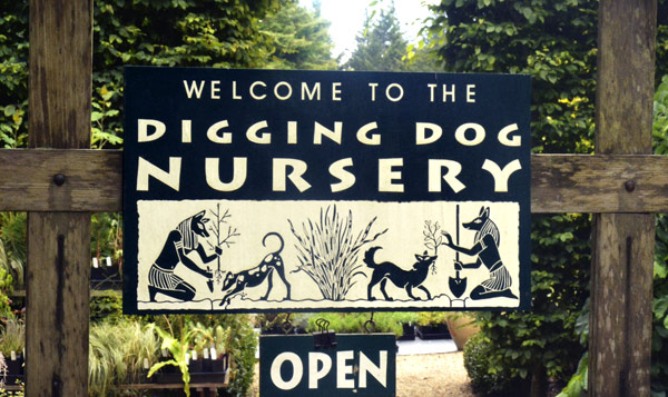 Visit Digging Dog Nursery